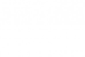  ДВПО 2750-1700 белый