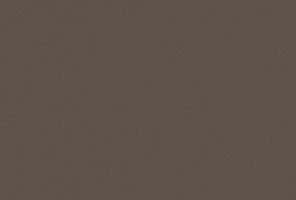  ЛДСП 2800-2070-10мм трюфель коричневый U748 ST9