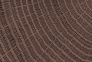 ABS Кромка-Дуб Гладстоун табак 2х19х75 {Поперечная структура} (TB Q3325) EGGER