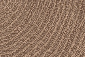 ABS Кромка-Дуб Галифакс табак 2х19х75 {Поперечная структура} (Q1181) EGGER