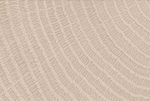 ABS Кромка-Дуб Галифакс Белый 2х19х75 {Поперечная структура} (Q1176) EGGER