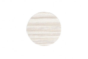 Заглушка самокл. d=20мм Выбеленное Дерево 20.873 (28шт/лист)