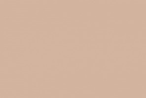 ABS Кромка-"Слепая" Светло-коричневая 0,3х19х450 (GB 9002) EGGER