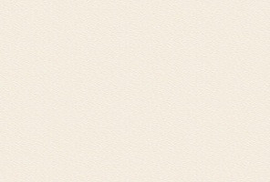 ABS Кромка-Камель бежевый 2х19х75 (ST9 U216) EGGER