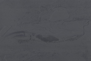 Кромка -2753 СК                  Штукатурка антрацит  3000-42мм (1001 MOON)