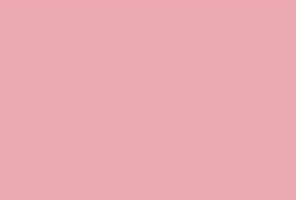 ABS Кромка-Фламинго розовый 0,4х19х200 (ST9 U363) EGGER ***