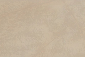 ПВХ Кромка-Терра 0,4х19   265T