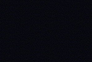 ABS Кромка-Черный Древесные Поры 0,4х19х200 (ST19 U999) EGGER