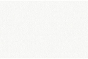 ABS Кромка-Белый премиум Древесные Поры 2х19х75 (ST19 W1000) EGGER