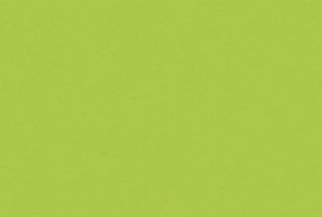 ABS Кромка-Зеленый лимон (Зеленый лайм) 0,8х19х75 (ST9 U630) EGGER