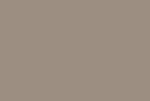 Кромка-AGT Визон новый глянец 1х22мм  878