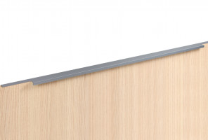 RT109GR.1/000/800 Серый Ручка RAY