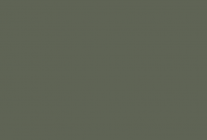 AGT Каретта грин 3051  МДФ 2800*1220*18 (3P) двусторонняя  однотонная