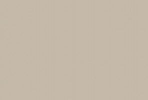  EVOGLOSS 18х1220х2800 P729 Новый серый (матовый) (односторонняя)