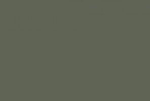 Кромка-AGTКаретта грин 0,8х22мм   3051 ЗР