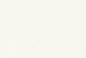  ЛДСП 2800-2070-10мм белый классический W960 SM   24+