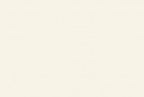  ЛДСП 2800-2070-10мм фарфор белый W1200 ST9   24+