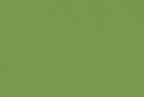 ABS Кромка-Зеленый киви 0.8х19х75 (ST9 U626) EGGER