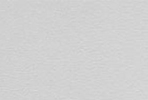 Кромка ПВХ Evogloss Светло-серый глянец 0,8*22 Р116