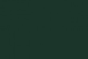 ABS Кромка-Зеленый еловый 2х35х75 (ST9 U699) EGGER