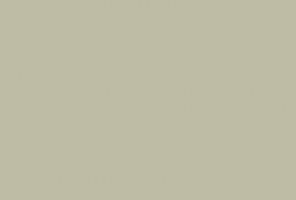 ABS Кромка-Зеленый шалфей 0.4х19х200 (ST9 U638) EGGER