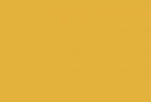 ABS Кромка-Карри желтый 2х19х75 (ST9 U163) EGGER