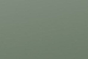 Кромка-ПВХ EVOSOFT Сумрачный нефрит EVS011   0,8х22мм   AGT3027