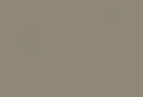 ABS Кромка-Серо-коричневый темный 0,8х19х75 (ST9 U740) EGGER