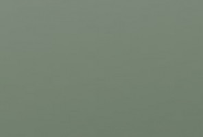  EVOSOFT 18х1220х2800 EVS011 Сумрачный нефрит  (двусторонняя)  (3027)