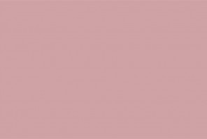 ПВХ Кромка-Пепельная роза 1х23мм   410017U / 2612L