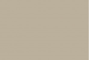 PerfectSense Top ЛМДФ 2800-1220-18,1мм дакар серый U717 TM/ST9