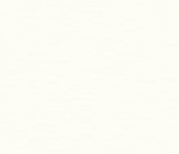 ABS Кромка-Платиновый белый 2х19х75 (SM W980) EGGER ***