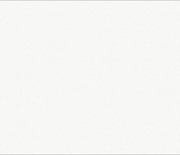 ABS Кромка-Белый премиум Шагрень 0,8х19х75 (ST9 W1000) EGGER