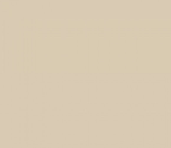 ПВХ Кромка-Имбирь 2х19мм   101050U   Lamarty