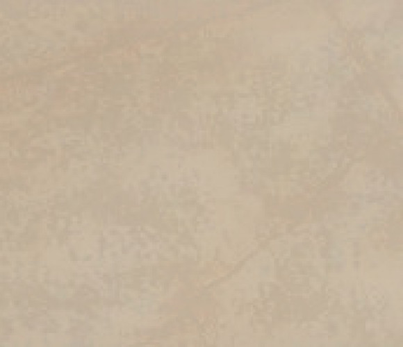 ПВХ Кромка-Терра 0,4х19   265T