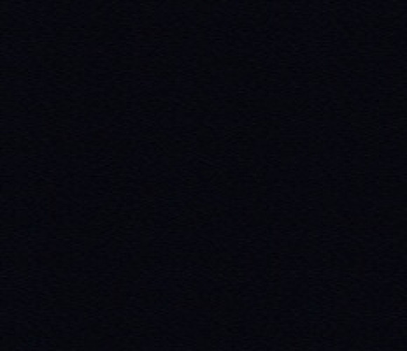 ABS Кромка-Черный Древесные Поры 0,8х19х75 (ST19 U999) EGGER