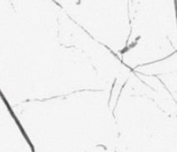 Кромка-AGT Белый мрамор Торос матовый 1х22мм  3030