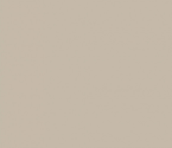  EVOGLOSS 18х1220х2800 P729 Новый серый (матовый) (односторонняя)