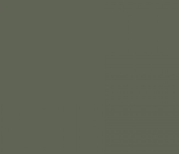 Кромка-AGTКаретта грин 0,8х22мм   3051 ЗР