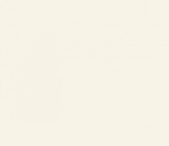  ЛДСП 2800-2070-16мм фарфор белый W1200 ST9   24+