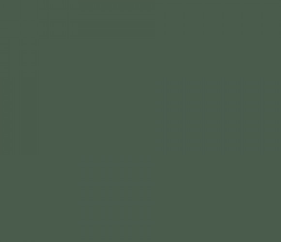 Кромка-AGT Форест Грин 0,8х22мм   3027