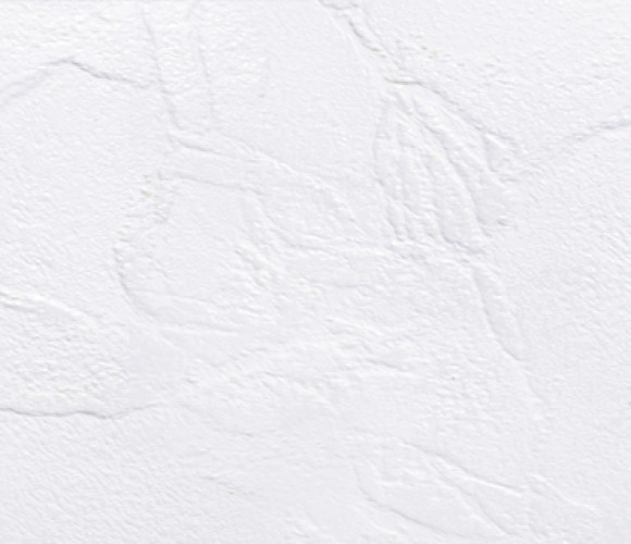 Столешница компакт-плита  АМК Троя  017/CК Супер-белый 3050-1320-12мм