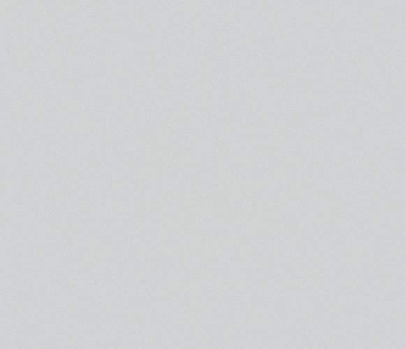  EVOSOFT 18х1220х2800 EVS012 Белое олово  (двусторонняя)  (3018)