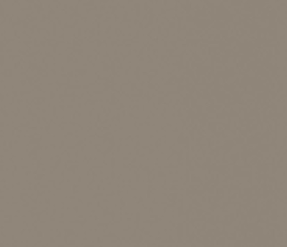 ABS Кромка-Серо-коричневый темный 0,8х23х75 (ST9 U740) EGGER